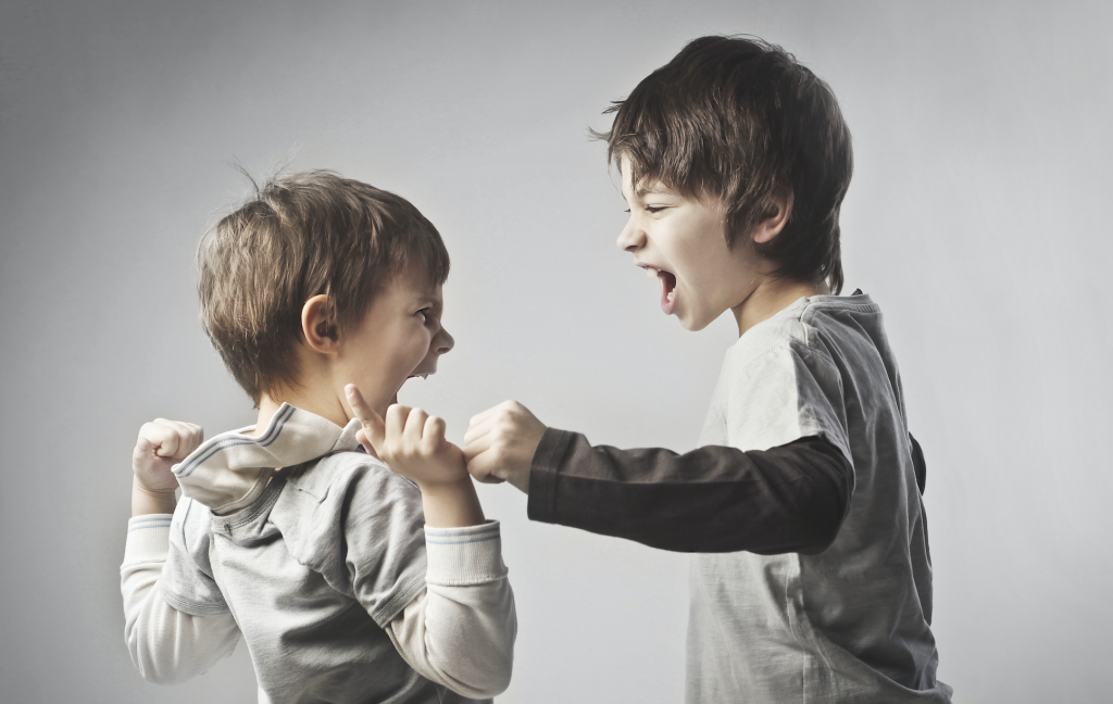 How to Help Your Kids When They Fight (Ch. 6) - Light Passing Through ...